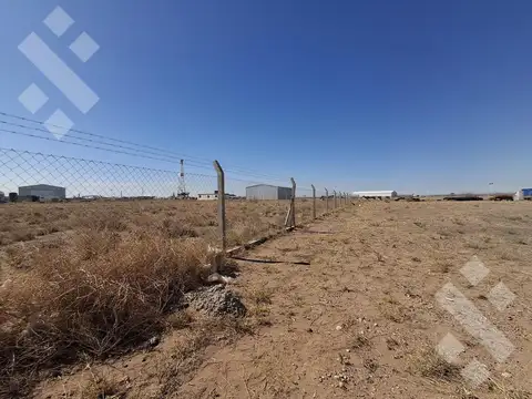Se Alquila, Lote de 5.000 m2  con tinglado, Lote 4, Añelo