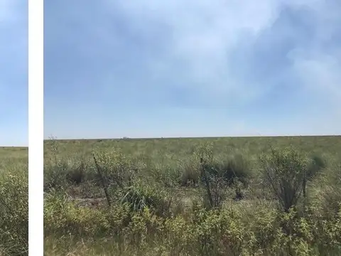 VENTA DE CAMPO IDEAL GANADERIA Y AGRICOLA