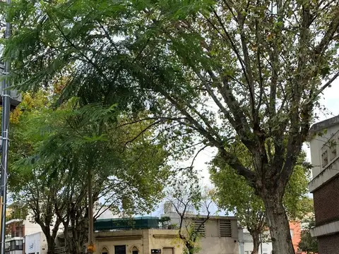 Terreno en Venta 8  mts Frente