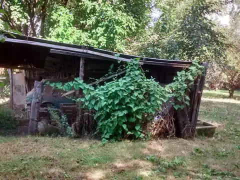 Chacra de 6,5 Has. con Casa