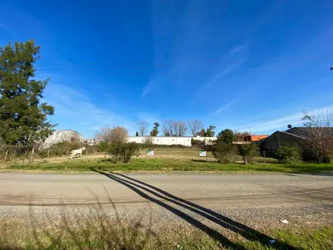 Terreno en Alquiler de 3165,0 m2