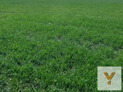 Campo en Venta en San Miguel del Monte, Partido de Monte