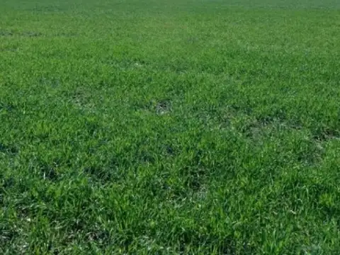 Campo en venta - 11.040.000Mts2 - San Miguel del Monte