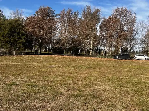 Terreno en Venta de 6000,0 m2