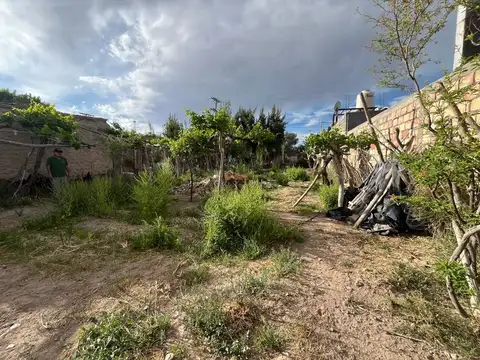 Lote de 319.68 M2 en Las Lomitas Albardon