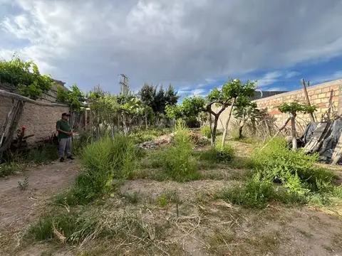 Terreno en Venta de 320,0 m2