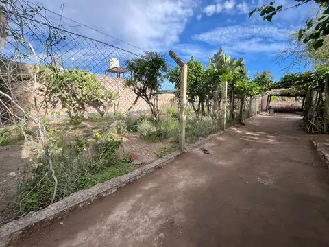 España 100