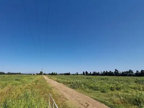 VENTA CAMPO ZONA NORTE RN 174