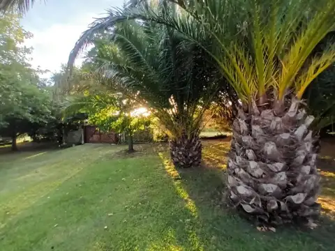 Ruta Nacional 226 - KM 21,5