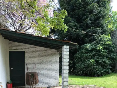 Ruta 26 y ñandues al 300