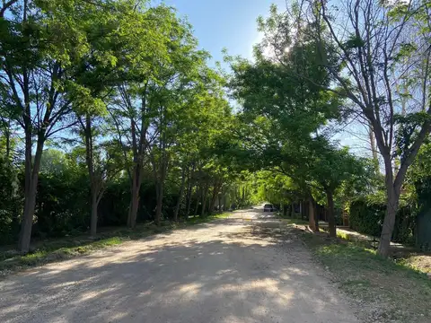 Terreno en Venta 58  mts Fondo