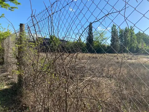 Dr. Edmundo Correas y Vista al Plata