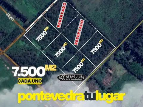 Terreno - Venta - Argentina, Merlo - PAZ SOLDAN 2200