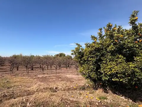 La Falda 200
