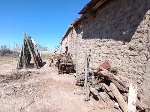Terreno en Venta de 50000,0 m2