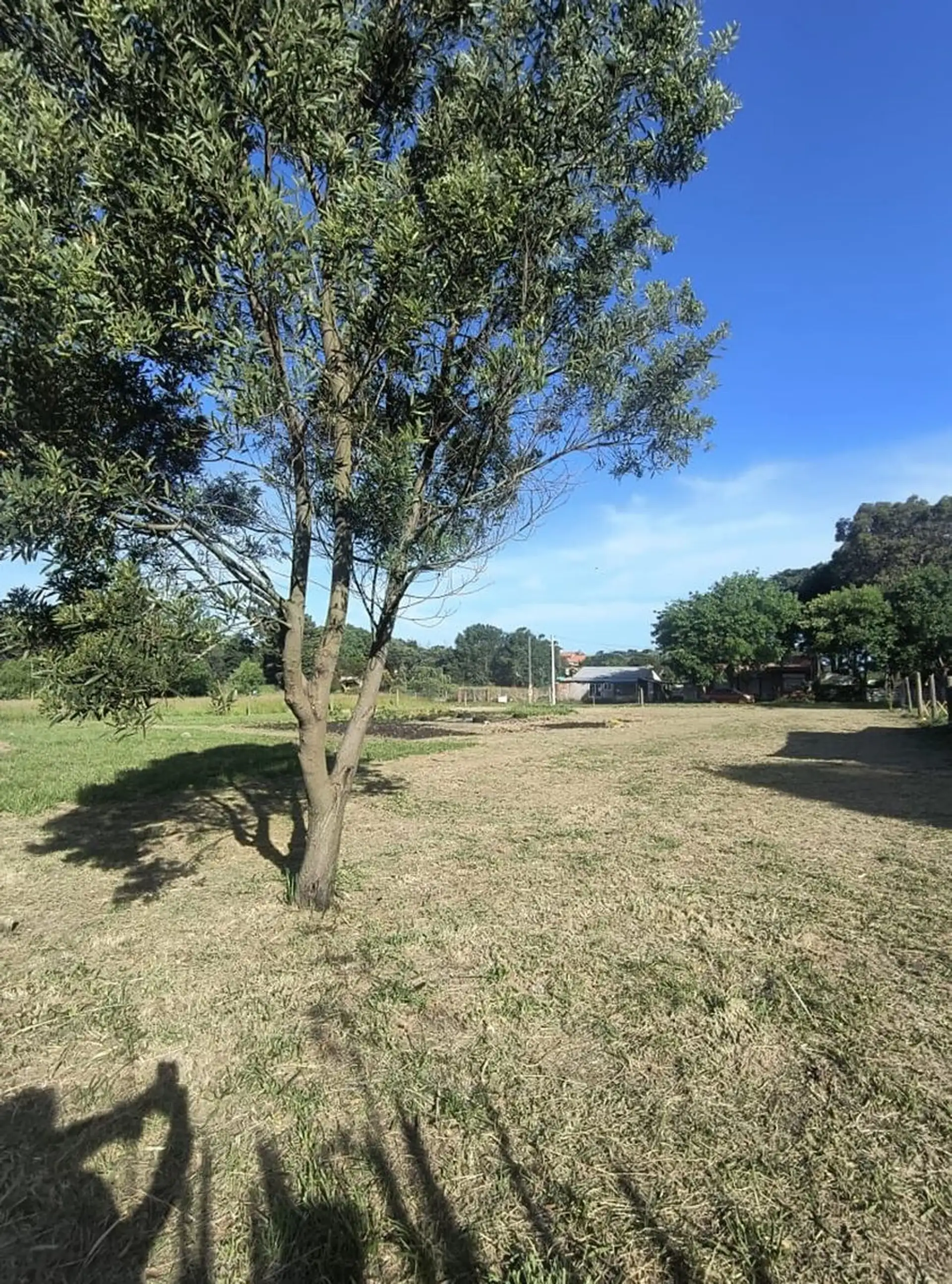 VENTA DOS LOTES EN SANTA ISABEL