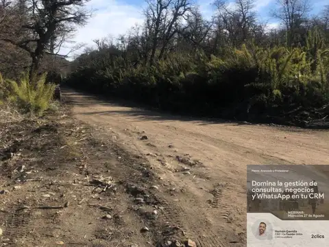 Terreno en Venta 50  mts Frente