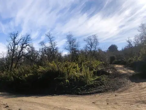 Terreno en Venta 50  mts Fondo