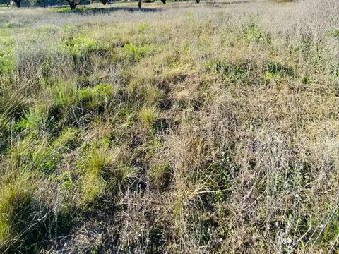 Terreno en Venta en Toay, USD 16.000