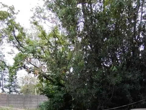 Terreno en Venta 20  mts Fondo