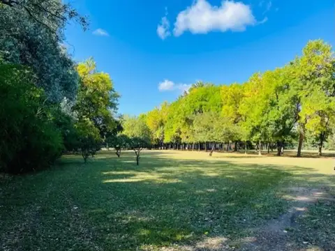 Terreno en Venta en Pilar Del Este, USD 1.495.000