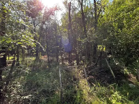 Ruta 5 km 43