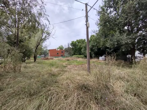 SDA  Venta  Terreno 660 m2,   gas natural, calle Larreta al 300, Parque Sakura, Exalt. de la Cruz