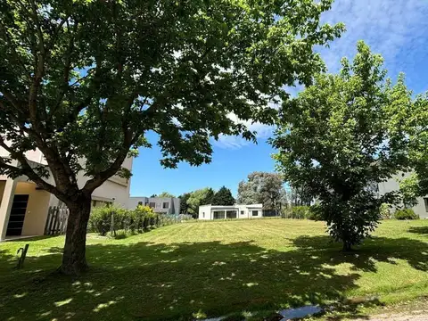 Terreno en Venta 40  mts Fondo