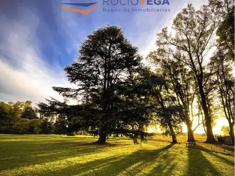 Lote a la venta en Chacras de San Andrés, San Andrés de Giles