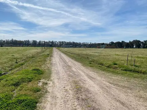 Terreno en Venta en Villa Ruiz, USD 26.000