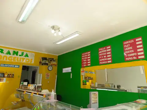 VENTA FONDO DE COMERCIO, GRANJA