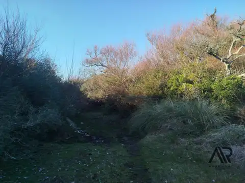 Camino De los Ceibos, Punta del Este Departamento de Maldonado,