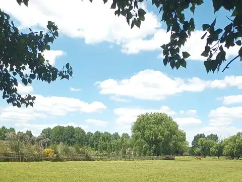 Terreno en Venta de 5086,0 m2