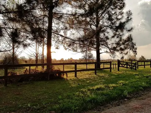 Terreno en Venta de 5086,0 m2