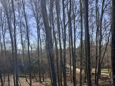Terreno en Venta en Yacanto Calamuchita, Calamuchita