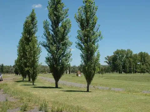 Terreno en Venta de 2000,0 m2