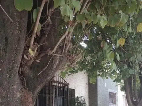 Casa en Alquiler de 1 dormitorio