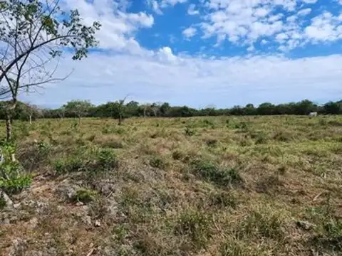 SE VENDE LOTE  VILLA LOS CHAÑARES TANTI