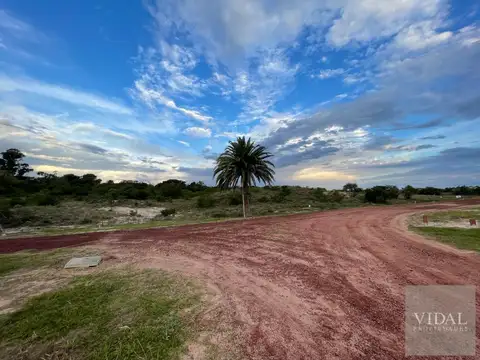 Terreno en Venta en Carmelo, USD 180.000