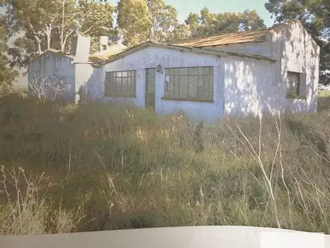 Campo en alquiler - 248 Hectáreas - Benito Juarez