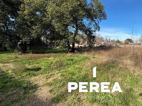 Lote en calle Mansilla