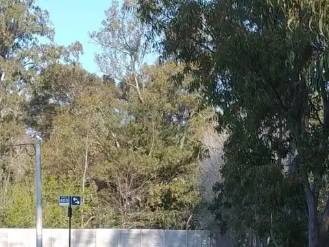 Terreno en venta - 461Mts2 - Barrio Jardín, Villa Elisa, La Plata