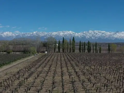ruta provincial 99 100