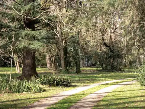 Venta lotes Los Jazmines Pilar del Este