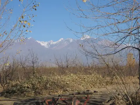 Terreno en Venta en Los Sauces, USD 425.000