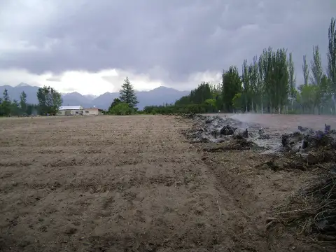 MENDOZA- TUNUYAN- SOBRE RUTA PROVINCIAL 93- 9,6 HAS- B° ALTOS DE UCO- URBANIZADO- LOTES DE 2000 M2