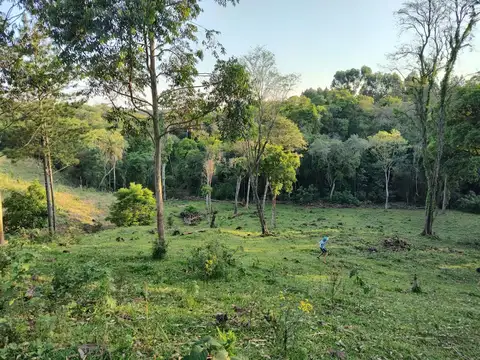 Ruta 220