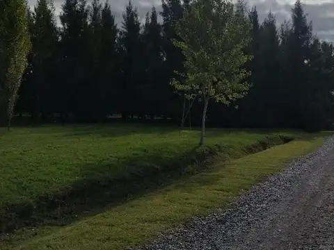 Terreno en Venta en Countries y Barrios Cerrados en Coronel Brandsen, USD 20.000