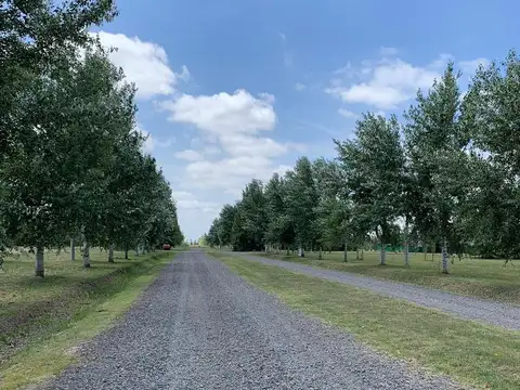 Terreno en Venta de 1000,0 m2