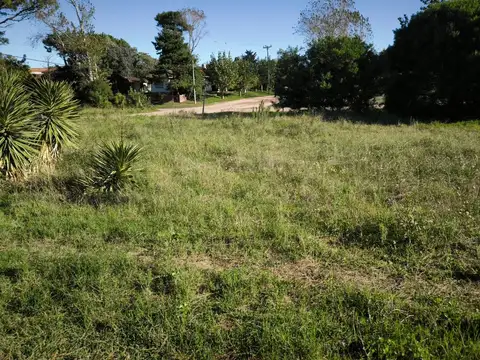 Avenida 4 4780